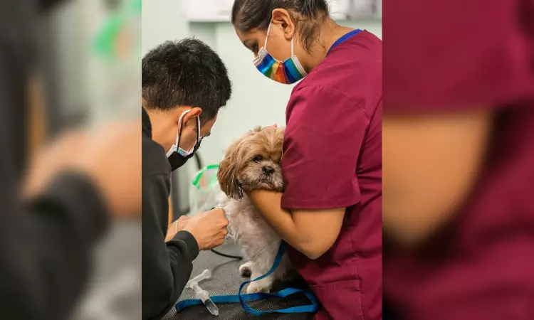 New Leap of Life Could a drug give your pet more dog years?
