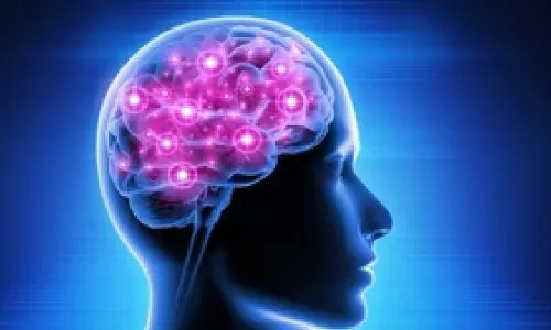 Fast changes in dopamine levels may determine human behaviour: Study