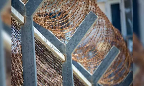 Most Palestinian terrorists freed in political deals resume violence, incitement