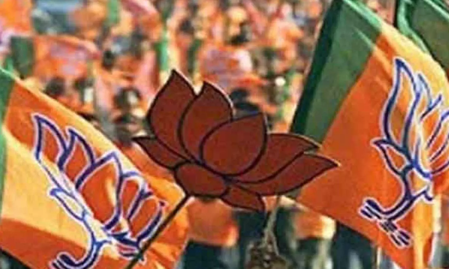 From 1 to 13 seats: BJPs rise in 5 eastern Rajasthan districts