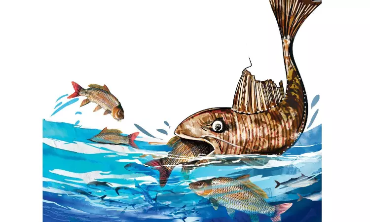 Cauvery, Pennar in TN Vulnerable to alien fish species: Study