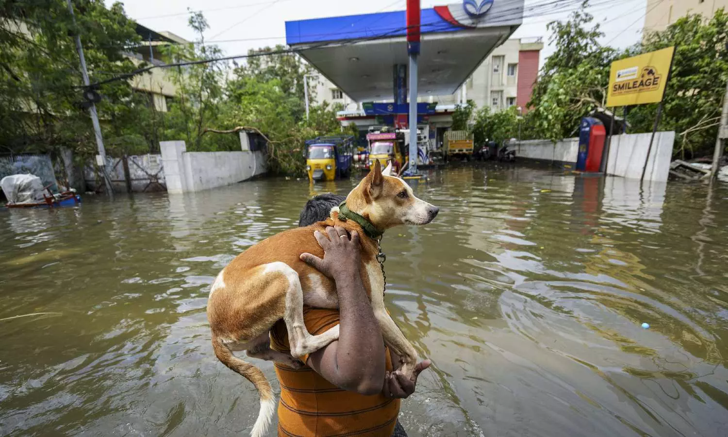 Cyclone Michaung: 19 persons dead in Chennai and surroundings