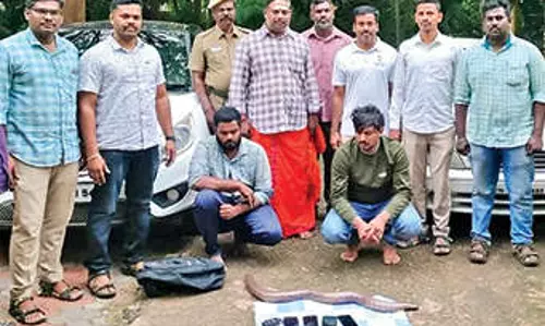 Three of gang arrested for trading sand boa in Salem; one absconds