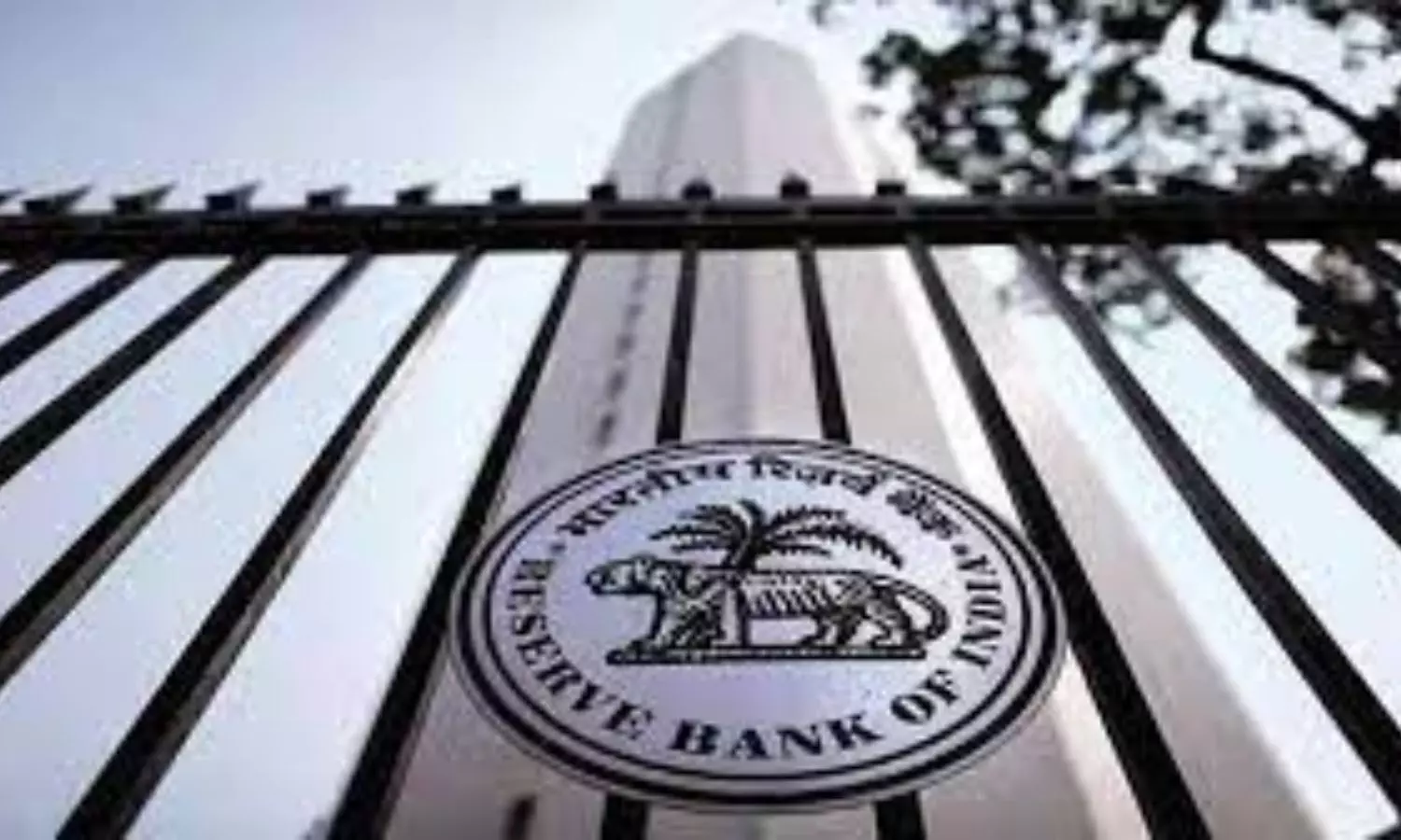 RBIs continued pause on interest rate bodes well for India Inc