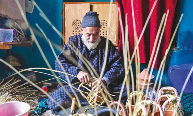Article 370: Abrogation paves the way for progress Article 370: Abrogation paves the way for progress