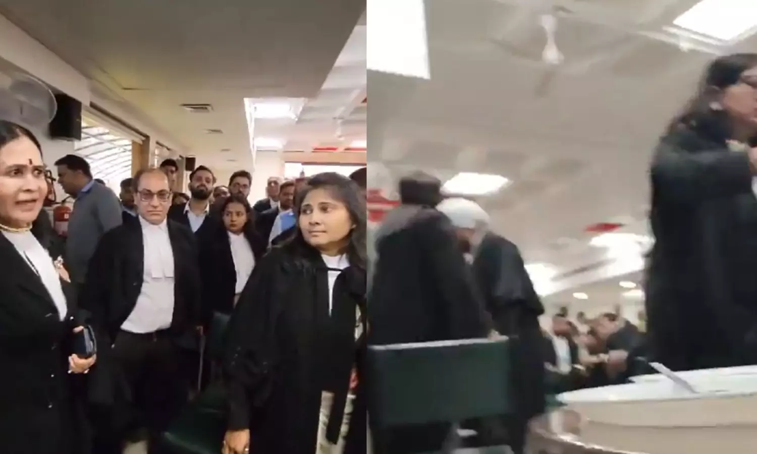 Delhi HC lawyers seen fighting over chairs in viral video