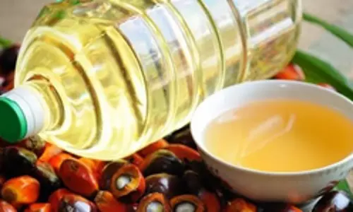 Focus on oil palm cultivation to reduce dependence on imports worth Rs 40K crore