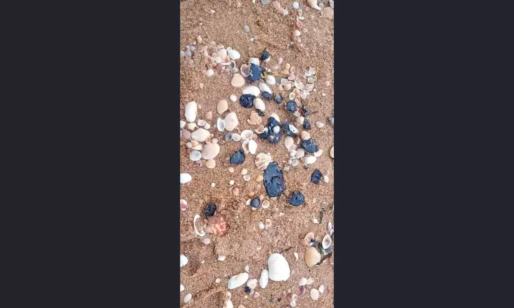 Oil slick from Ennore reaches Pulicat