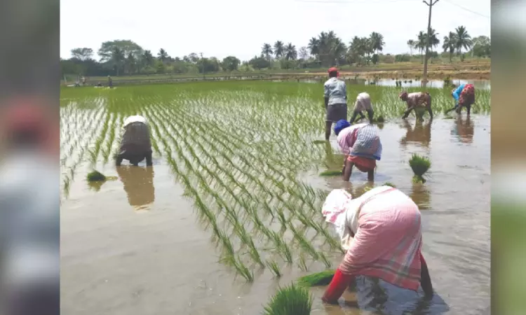 Ranipet ryots worried as rains fail to fill up tanks Ranipet ryots worried as rains fail to fill up tanks