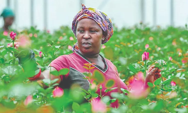 Open economy: Is the Kenya-EU trade deal on track? Open economy: Is the Kenya-EU trade deal on track?