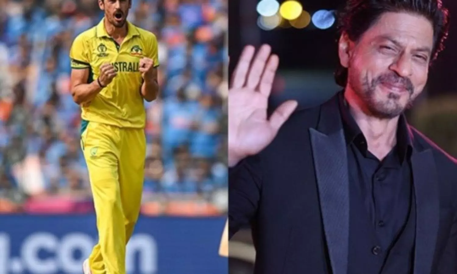 SRKs witty reply to fan asking difference between Starc IPL Auction price & Dunki Day 1 collection