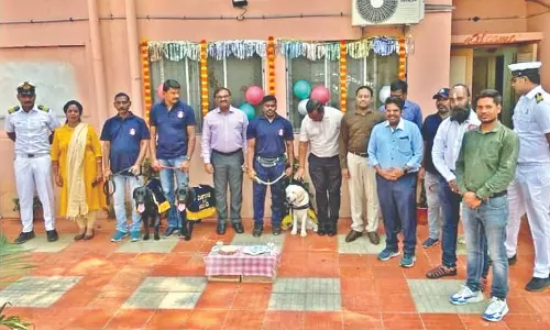 2 trained canines added to Customs dog squad at Chennai airport