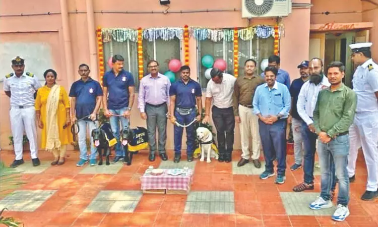 2 trained canines added to Customs dog squad at Chennai airport 2 trained canines added to Customs dog squad at Chennai airport