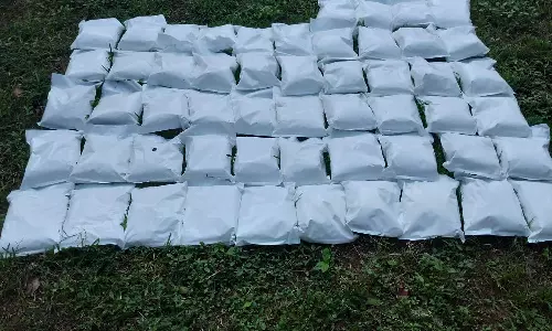 NCB arrests two, 56 kg methamphetamine seized