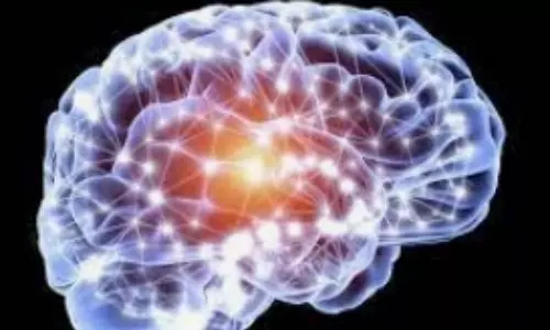 Brain cell discovery sparks hope for fertility treatments