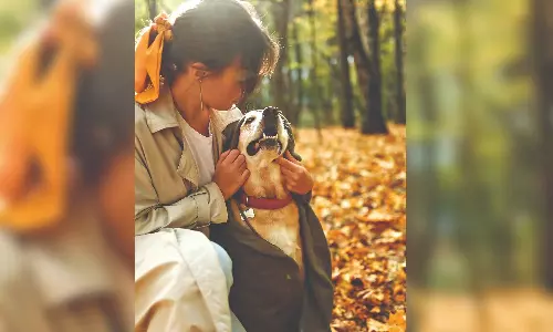 Protect your pets from allergies this season