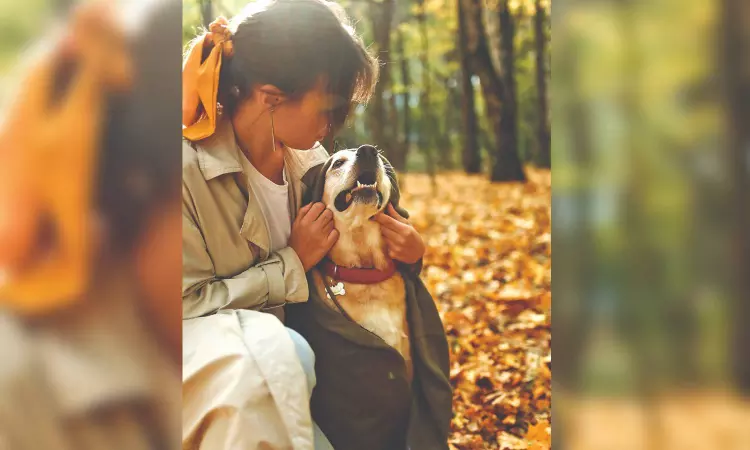 Protect your pets from allergies this season