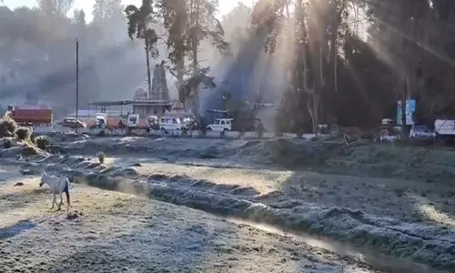 TN village in Nilgiris turns Iceland as min temperature drops to 0°C