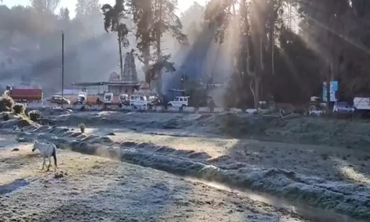 TN village in Nilgiris turns Iceland as min temperature drops to 0°C