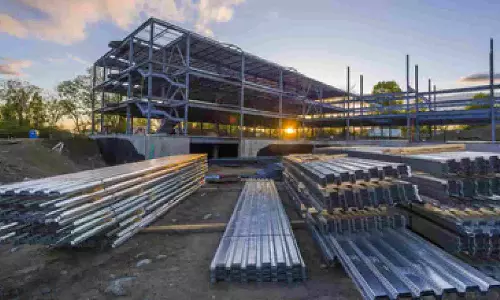 NINL running at 100 pc capacity now: MD