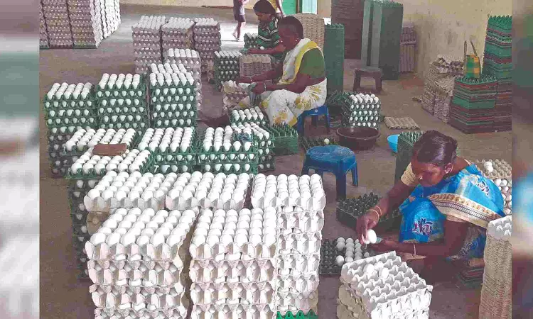 Export zooms to 15 crore eggs per month