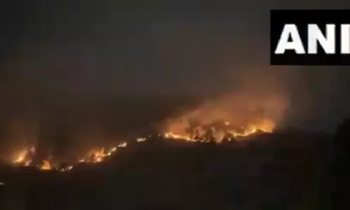 Himachal Pradesh: Massive fire breaks out in Patlikuhal forest area of Kullu