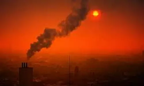 Northwest China cities halt heavy industries to curb pollution