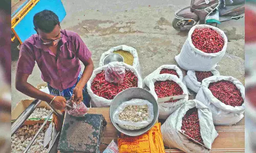 Budget, not brand, drives their purchase