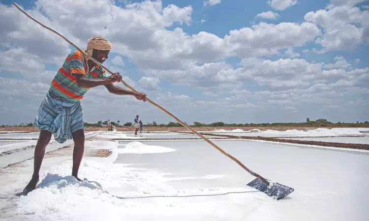 Unregistered salt workers may lose aid Unregistered salt workers may lose aid