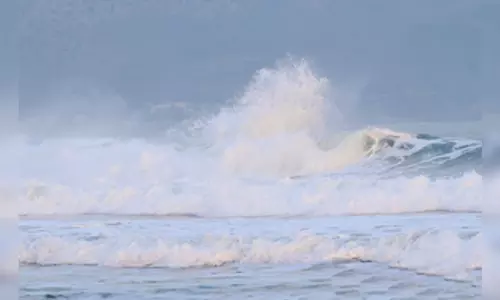 Tsunami observed at S. Koreas east coast after Japans massive earthquake