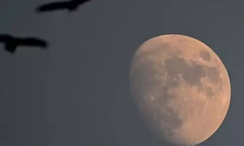 4 eclipses in 2024, none to be visible in India: Astronomer