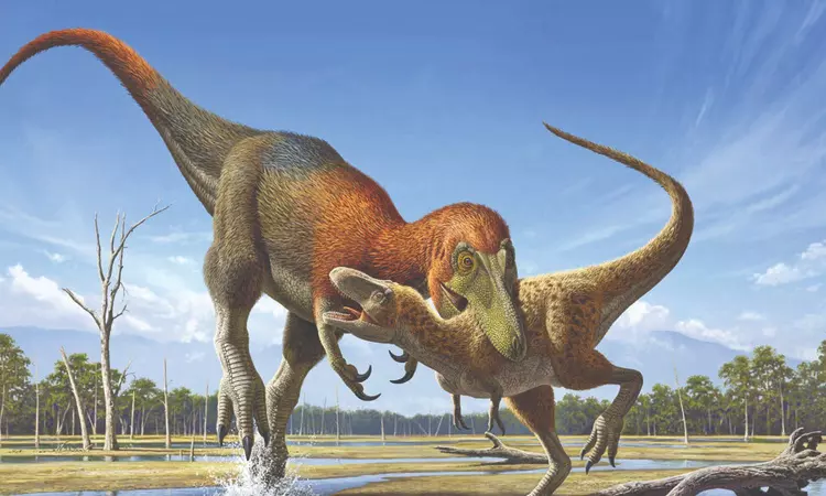 Study aims to bring tinier Tyrannosaur back from oblivion Study aims to bring tinier Tyrannosaur back from oblivion