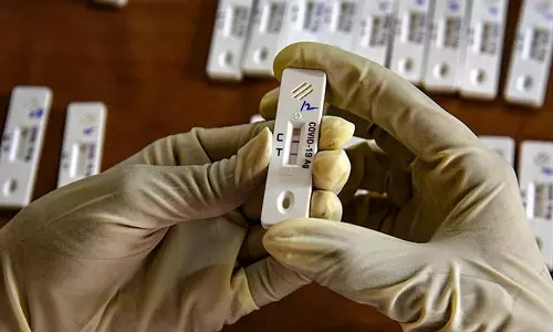 619 cases of Covid sub-variant JN.1 reported from 12 states till Jan 4