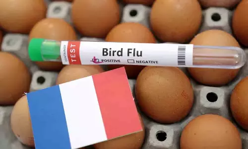 France detects bird flu outbreak among vaccinated ducks