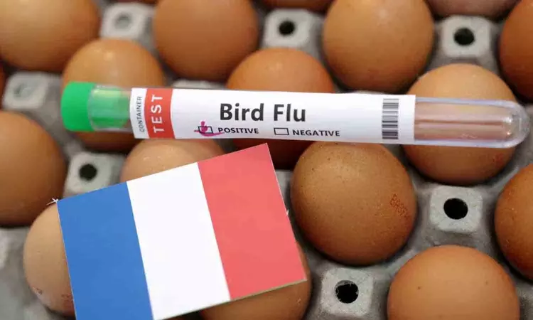 France detects bird flu outbreak among vaccinated ducks