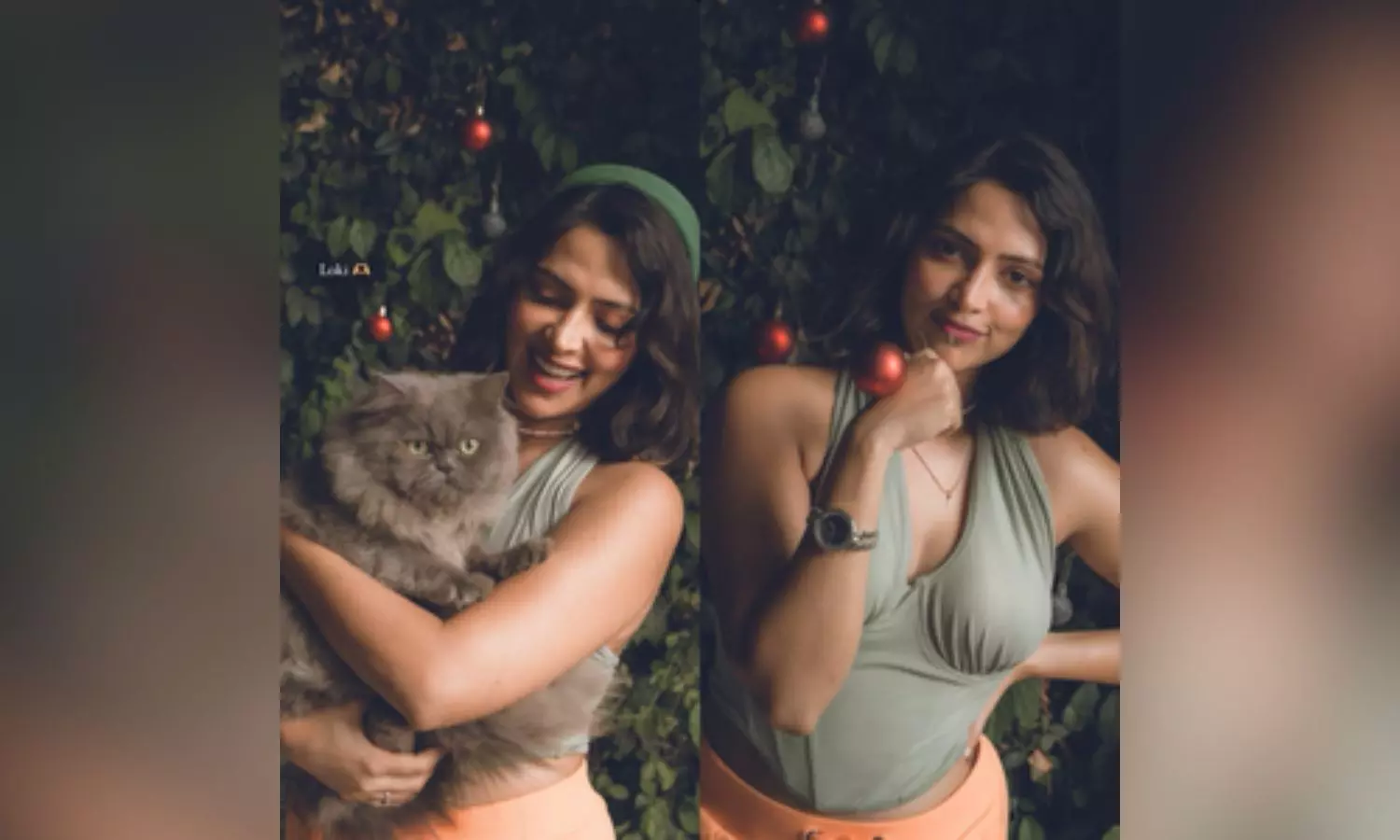 Amala Paul poses with cat, flaunts baby bump in candid video; reaching for the stars