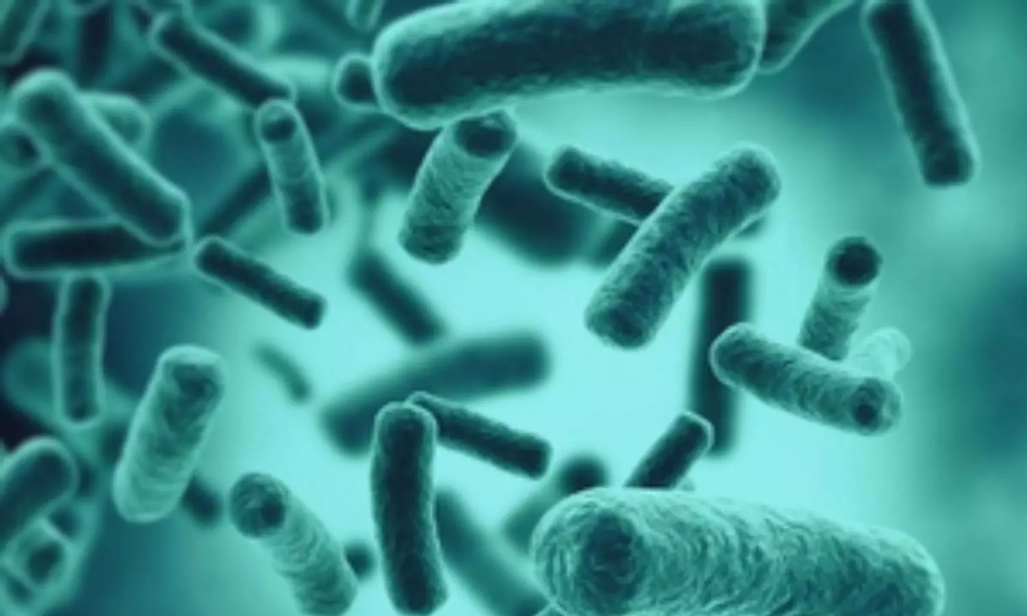 Scientists find 35 previously unknown species of bacteria