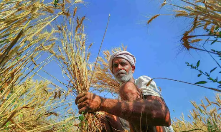 Agri exports likely to double to USD 100 bn by 2030: Commerce Secy