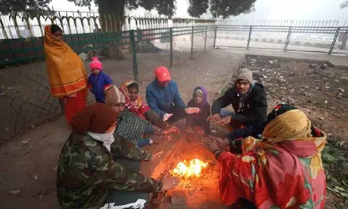 Parts of Haryana, Punjab reel under freezing cold; Narnaul coldest at 2.5 deg C