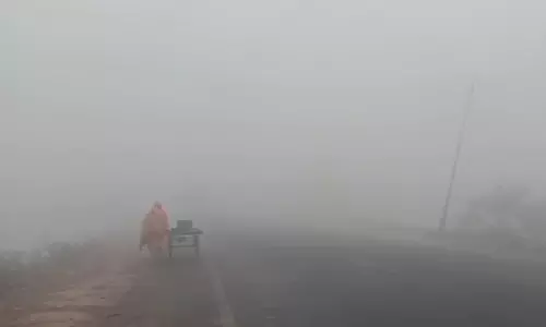 Mist/haze likely to prevail over isolated pockets of TN