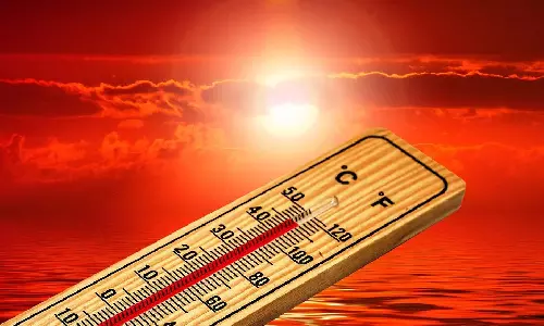 2023 warmest year on record globally, 2024 on similar path: Report