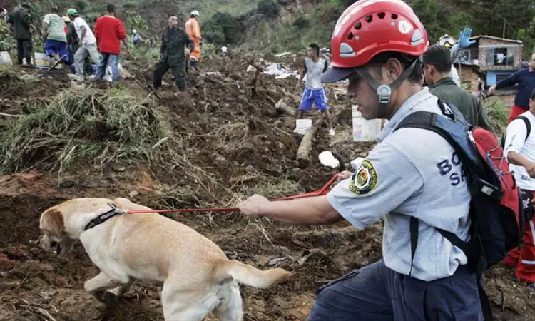 Rescuers search for survivors in deadly Colombia mudslide Rescuers search for survivors in deadly Colombia mudslide