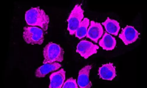 Study finds new immune cell to attack and eliminate cancer, Covid Study finds new immune cell to attack and eliminate cancer, Covid