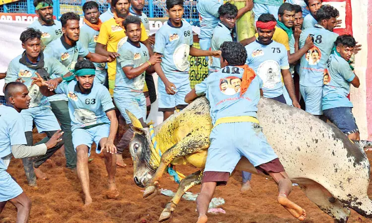 All set for Alanganallur action