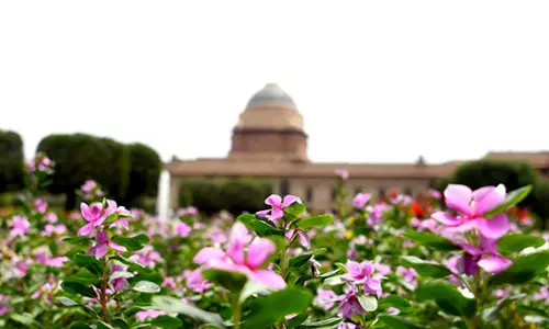 Amrit Udyan of Rashtrapati Bhavan to open for public from Feb 2 Amrit Udyan of Rashtrapati Bhavan to open for public from Feb 2