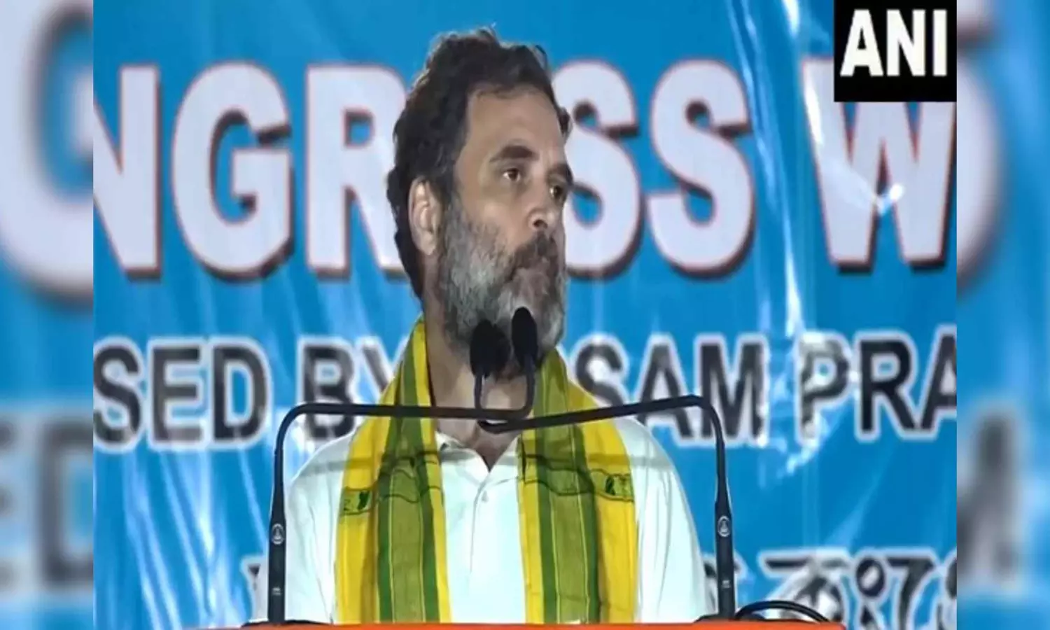 "Not scared of PM Modi, Assam CM...": Rahul Gandhi