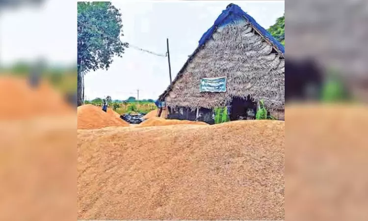 Kuruvai yield down by 20% due to poor supply of Mettur water Kuruvai yield down by 20% due to poor supply of Mettur water
