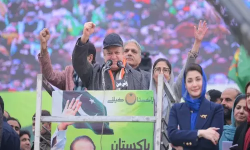 Pakistan: Nawaz Sharif supporters bring lion, tiger to Lahore rally