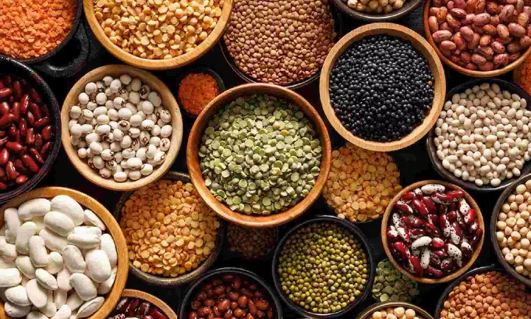 NCCF launches ‘Bharat’ Pulses at subsidised prices in TN
