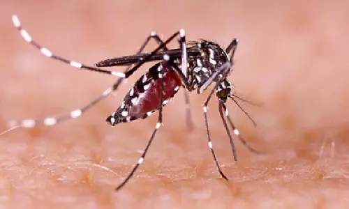 Class VI girl dies in TN due to dengue fever